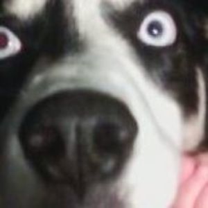 Meet your Posher, Lillian